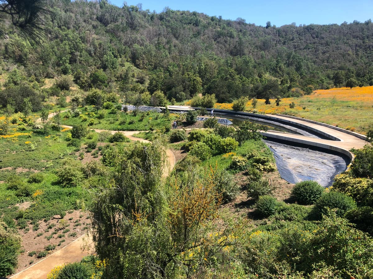 Parque Juan Grimm en Casablanca — Kurantu, foto 16
