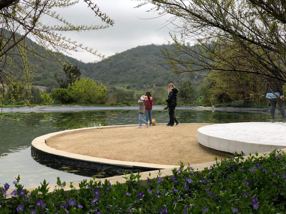 Parque Juan Grimm en Casablanca — Kurantu, foto 18