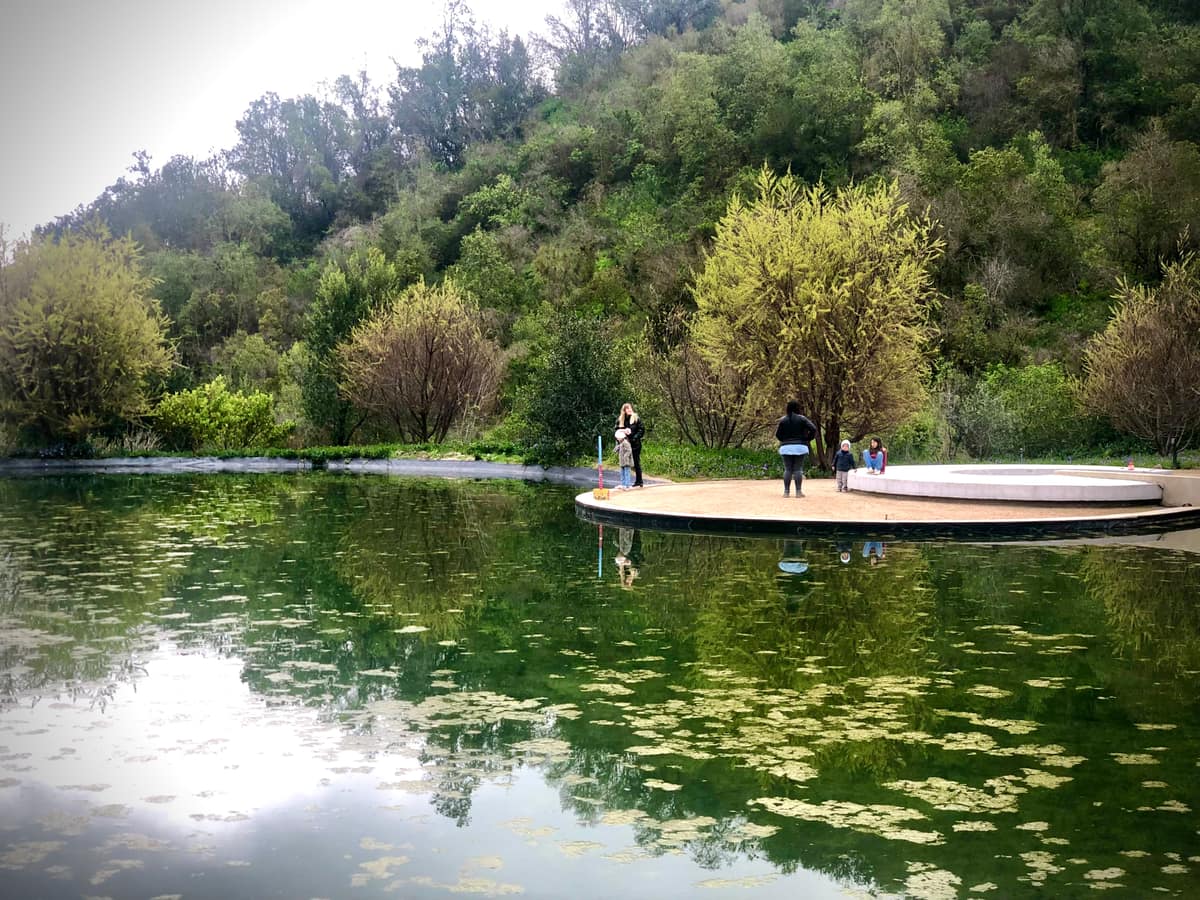 Parque Juan Grimm en Casablanca — Kurantu, foto 19