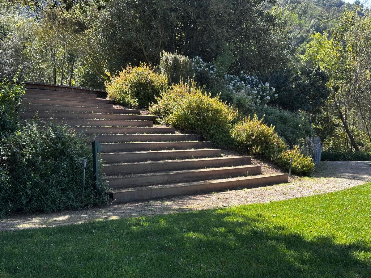 Parque Juan Grimm en Casablanca — Kurantu, foto 2