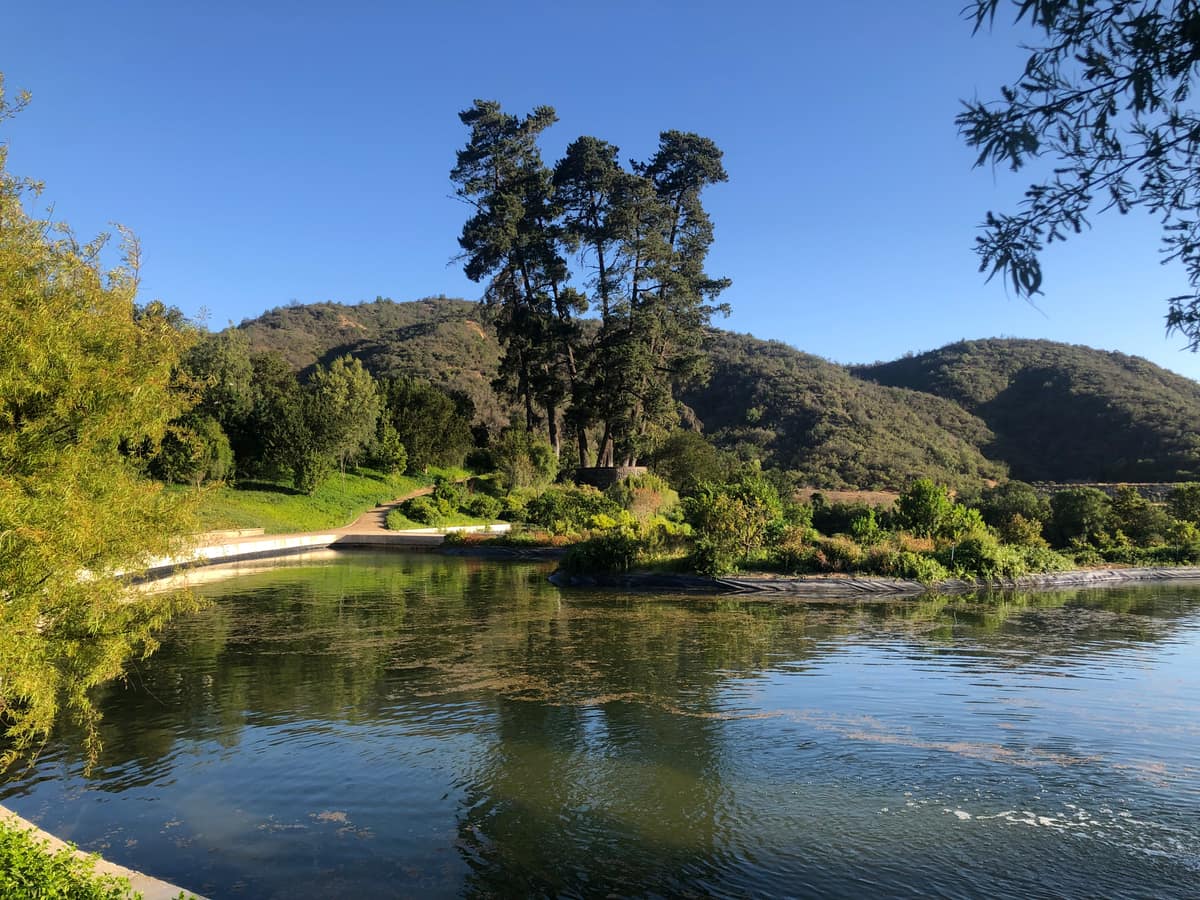 Parque Juan Grimm en Casablanca — Kurantu, foto 20