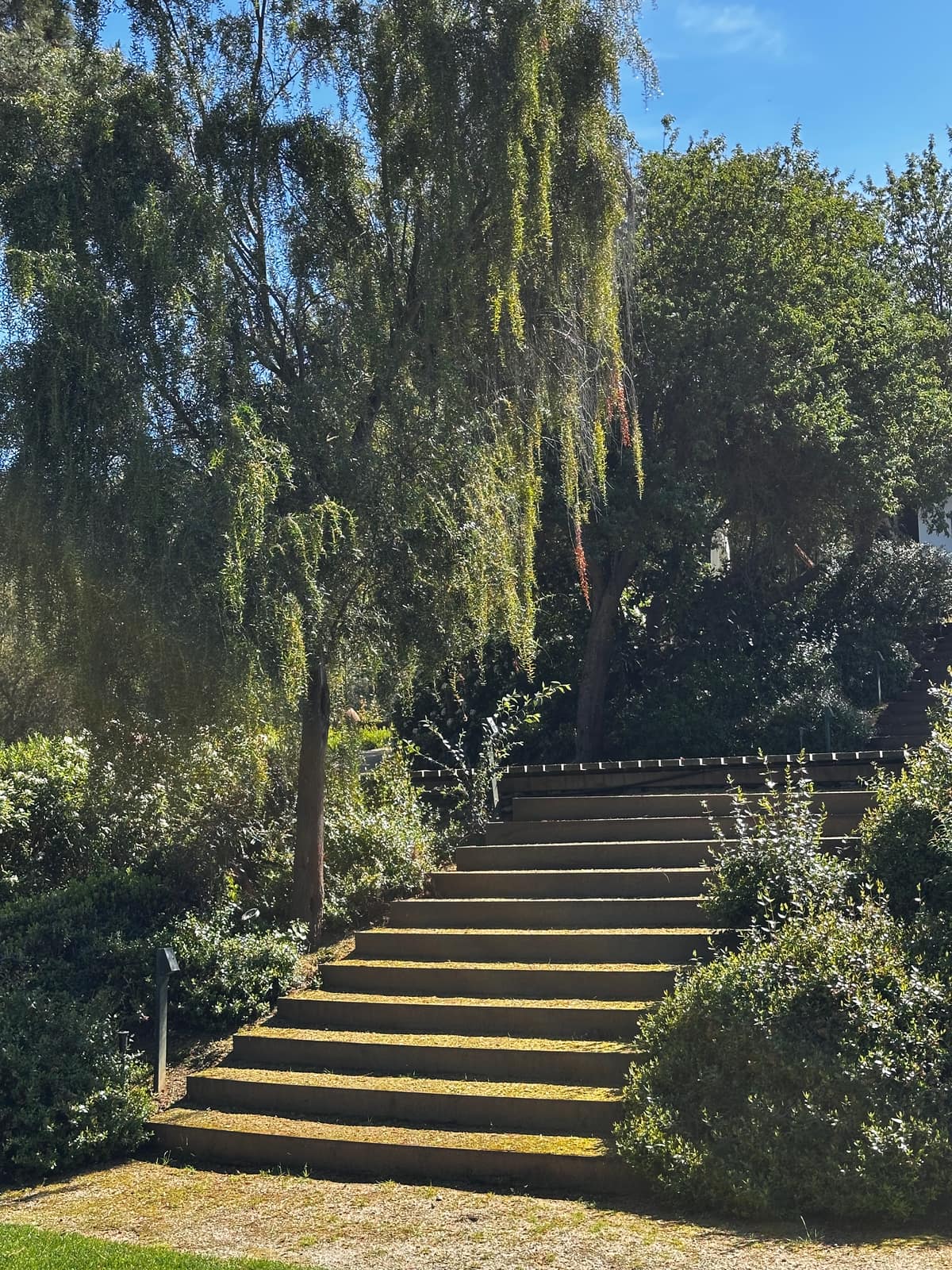 Parque Juan Grimm en Casablanca — Kurantu, foto 5