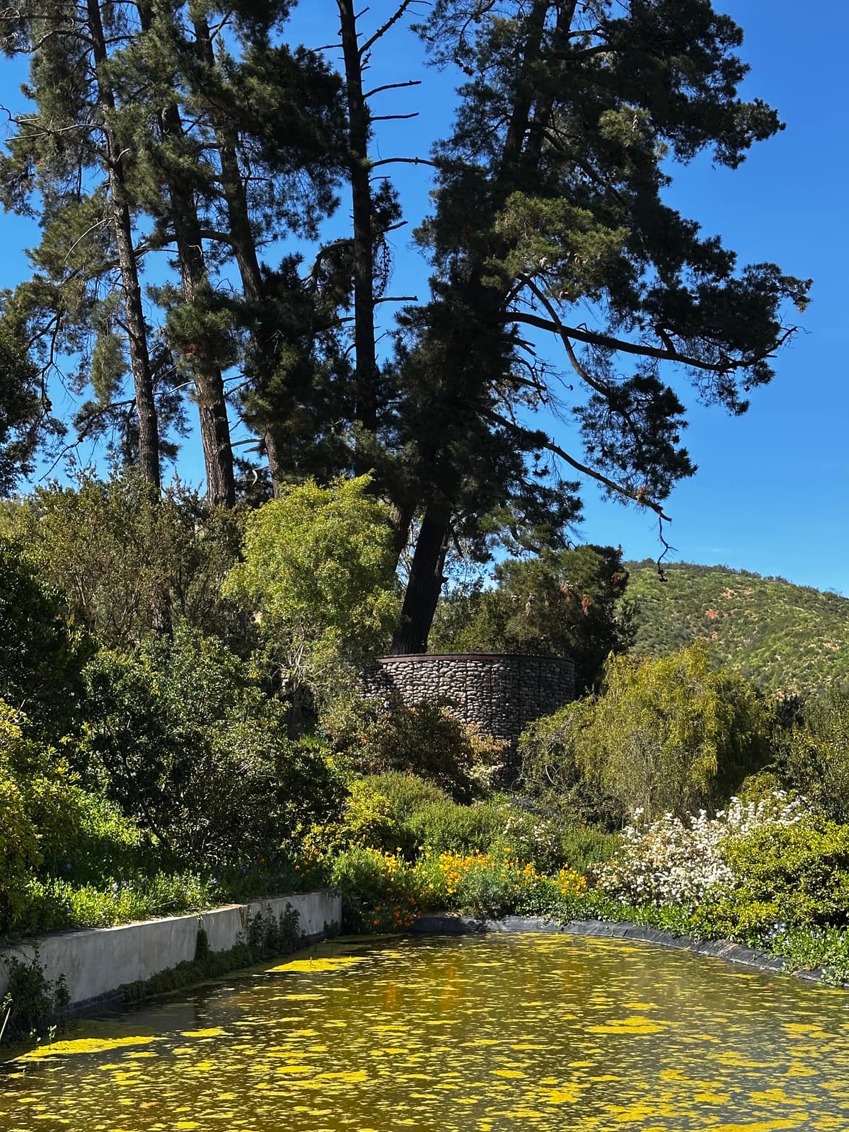 Parque Juan Grimm en Casablanca — Kurantu, foto 6