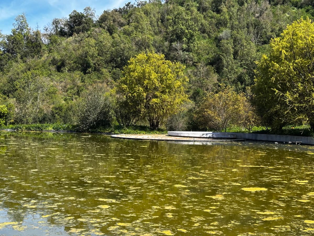 Parque Juan Grimm en Casablanca — Kurantu, foto 8