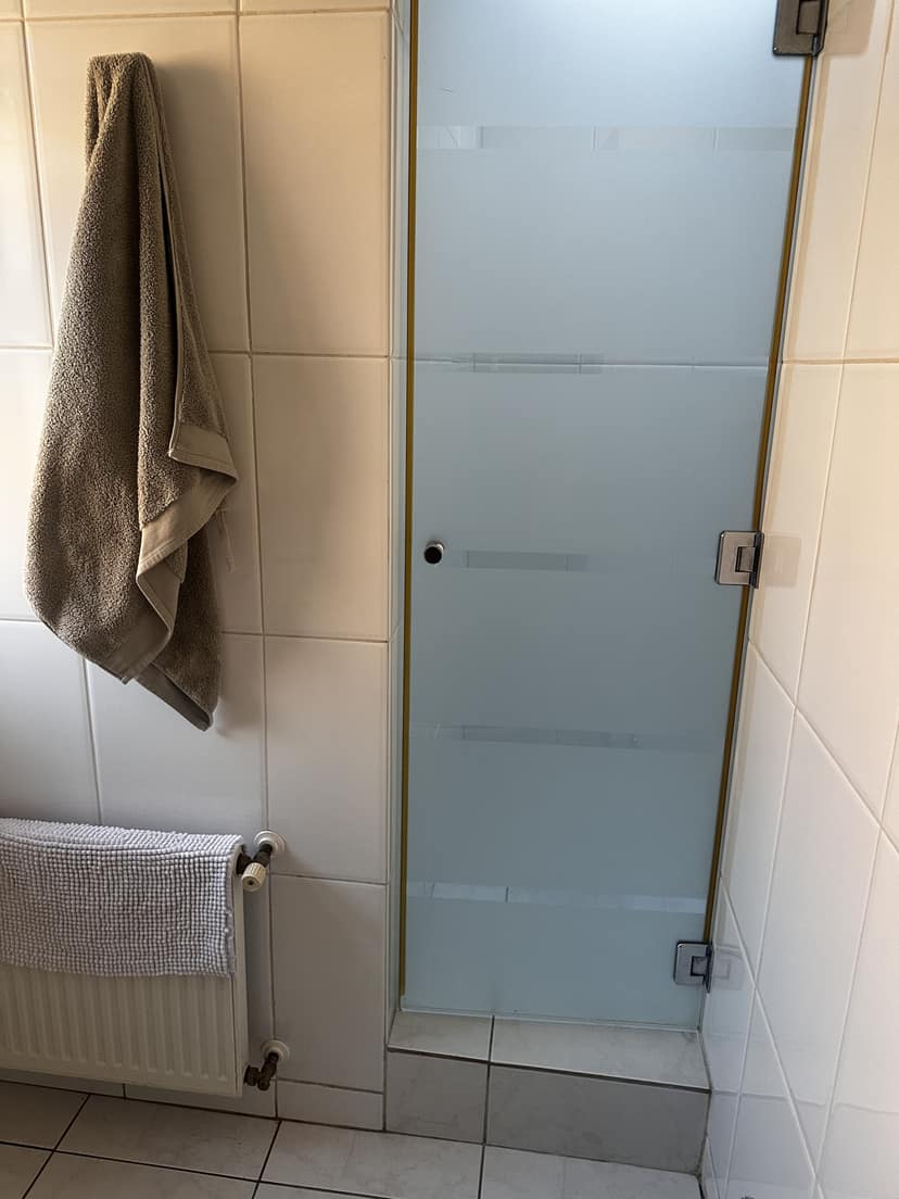 Remodelación LP — Baño · ducha (antes)